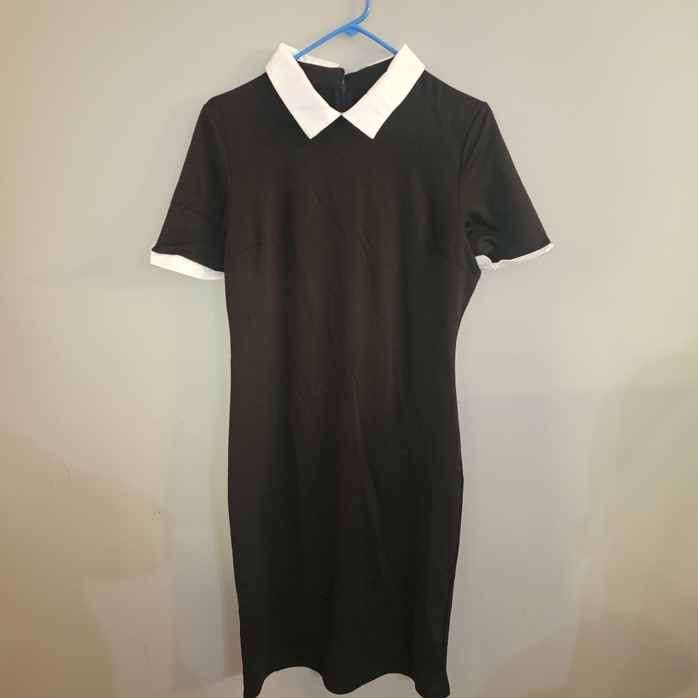 Collared Dress